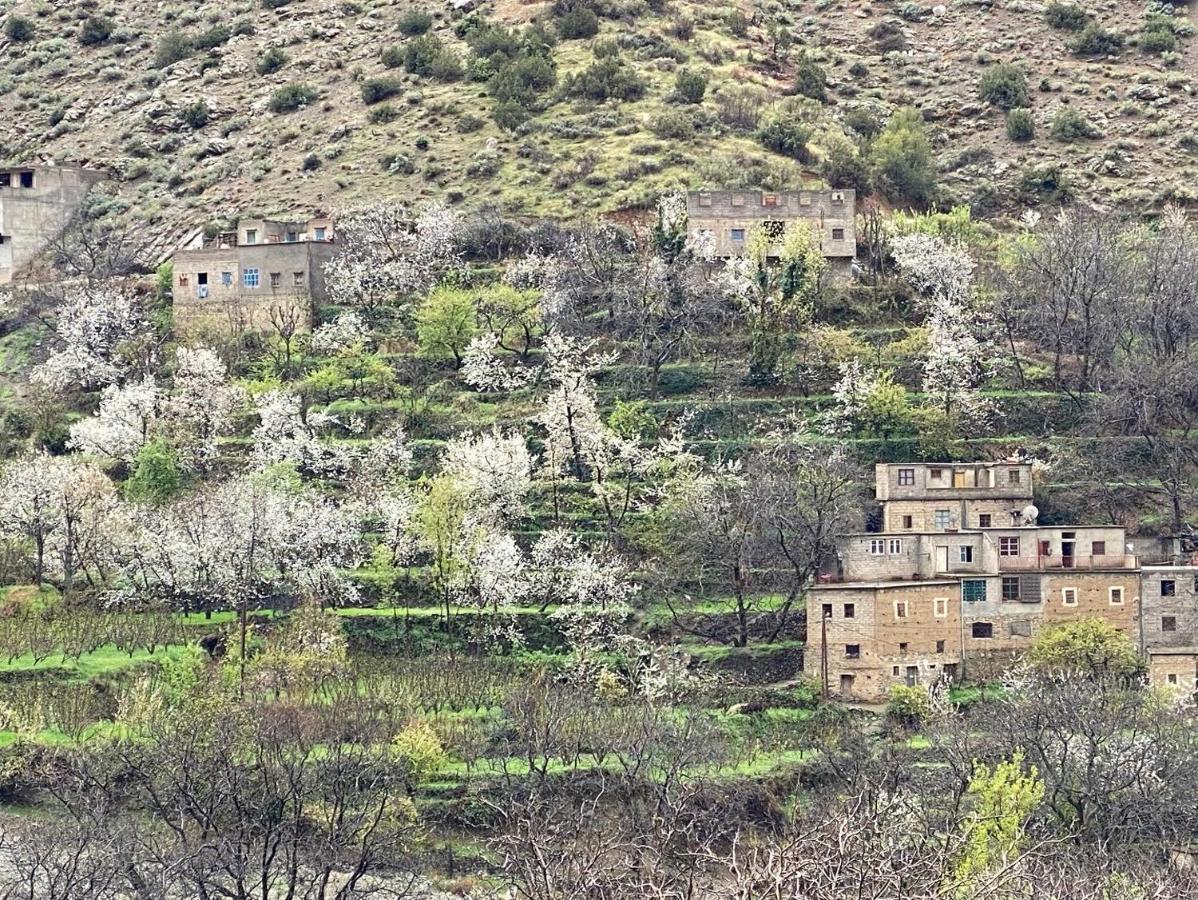 Amlougui House Bed and Breakfast Asgaour Buitenkant foto